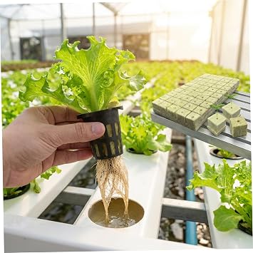 300PCS Rockwool Cubes for Hydroponics 1 Inch Rock Wool Planting Cubes with Holes Hydroponics Growing System for Cloning, Plant Propagation, Seed Starting.