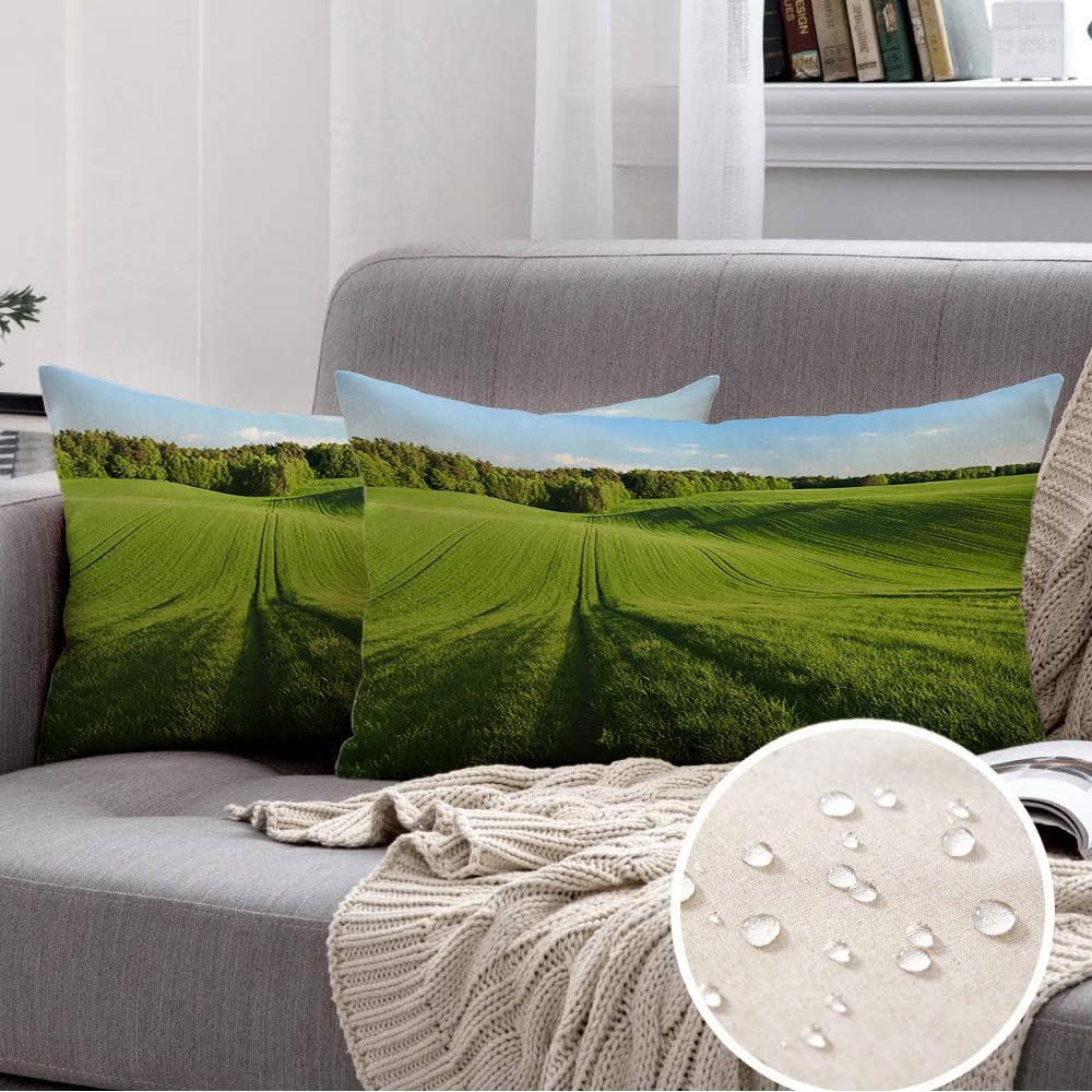 Waterproof Throw Pillow Covers 12x20 inch Set of 2 for Outdoor Couch Blades Stalks Agriculture Poland Green Wheat Landscape Krasnystaw Field Nature Parks Outdoor Sky Decorative Cushion Cases