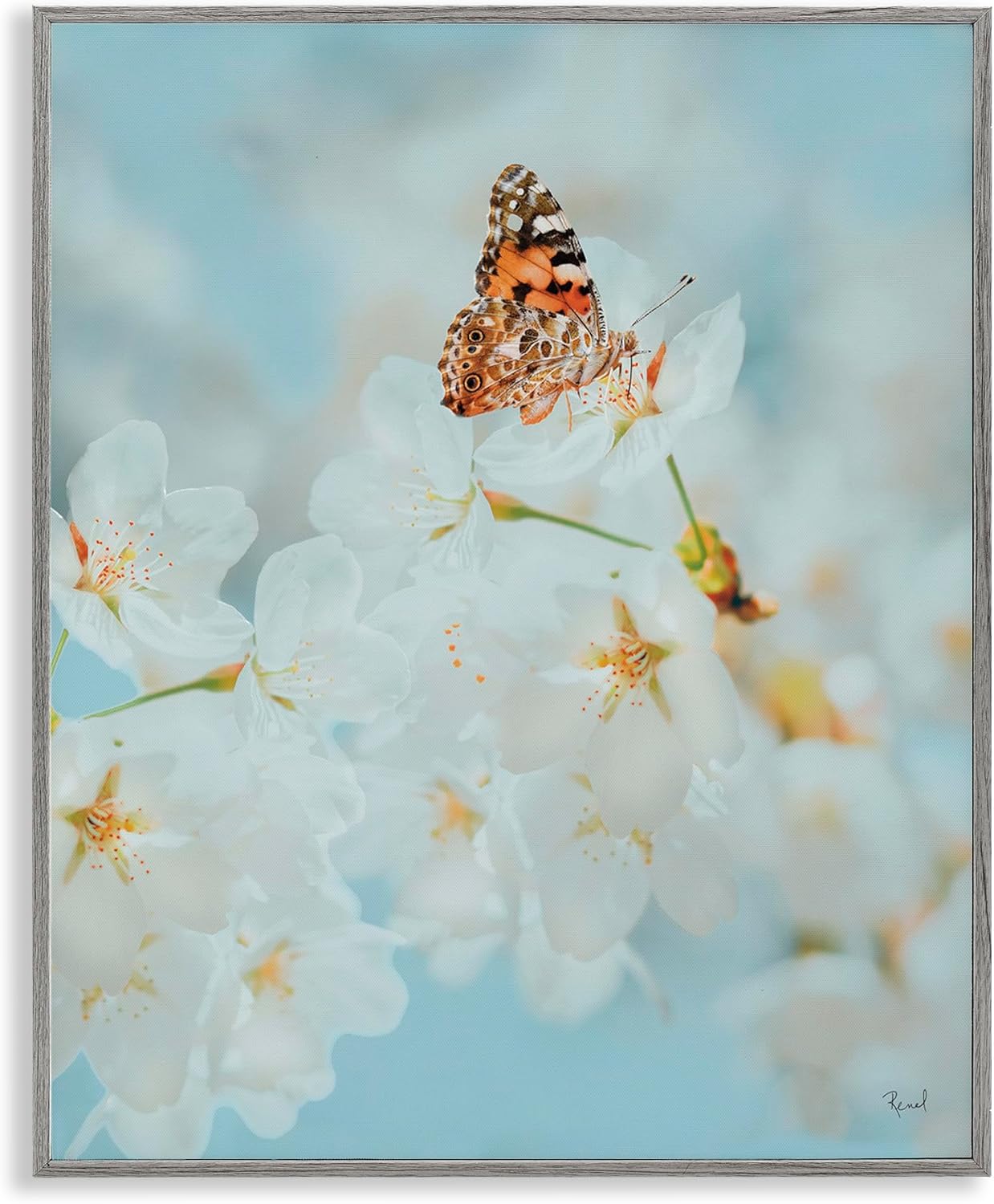 Stupell Industries Pale Blossoms & Butterfly Framed Giclee Art Design by Renel Peters
