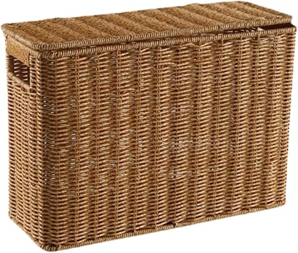 F Fityle Narrow and Tall Storage Box Newspaper Holder, Organizer Woven Magazine Holder with Handle for Kitchen Clothing Living Room, L