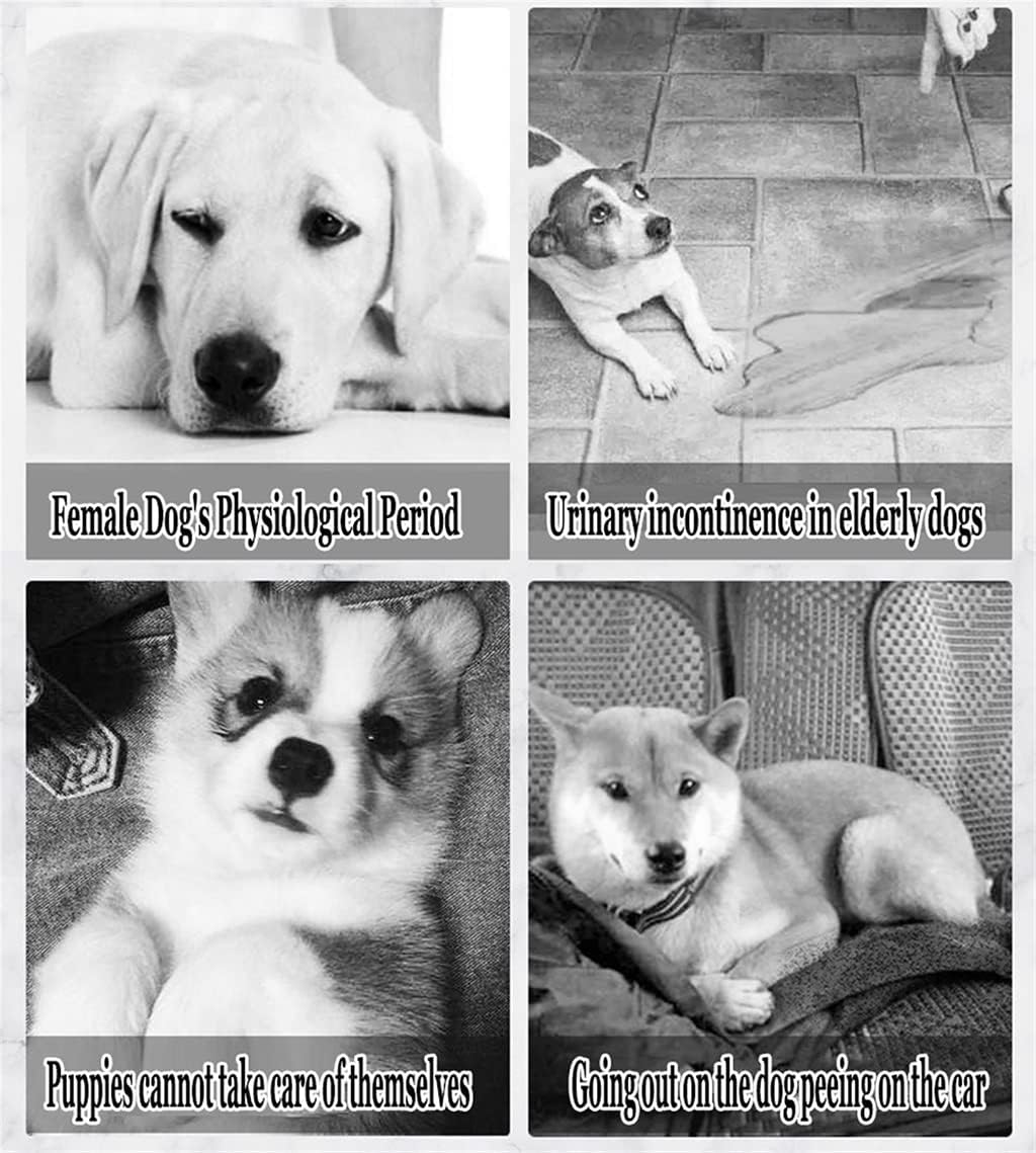 Dog Nappies Disposable Male Dog Diapers - XL, Comfortable & Breathable Care Panties,Waist 28-50 CM /11-19.7 Inch(20pcs)