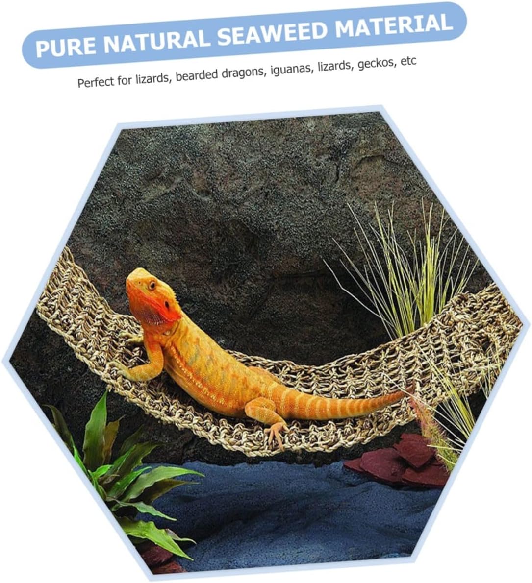 Toddmomy Bearded Dragons Hammocks Lizard Nest Beds Pet Cushions Reptile Hammock Bulk Lizard Bed
