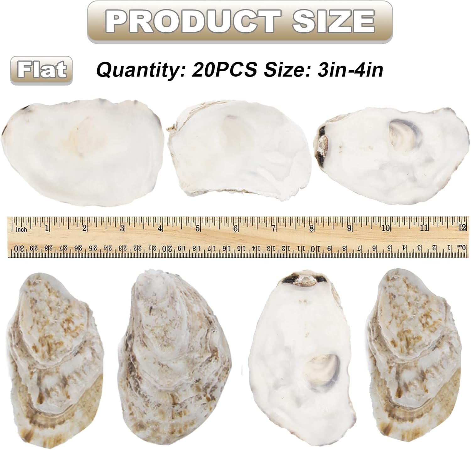20 PCS Flat Oyster Shells for Crafts 3"-5" Natural Oyster Shells Bulk, for Home Vase Filler, Xmas Ornaments, DIY Arts and Crafts Sea Shells