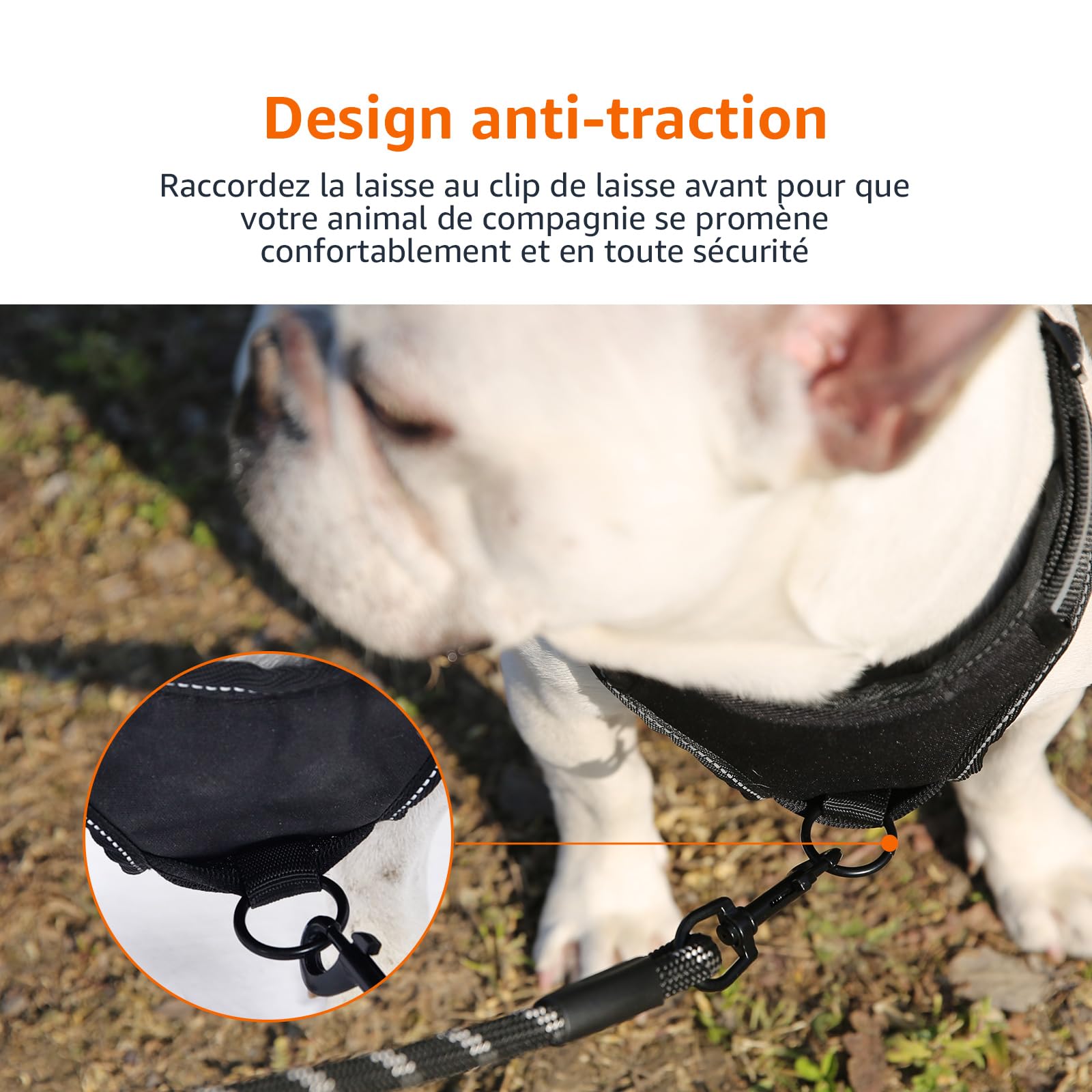 Amazon Basics Harnais pour chien sans traction, réglable et rembourré avec bandes réfléchissantes, Noir, Taille M