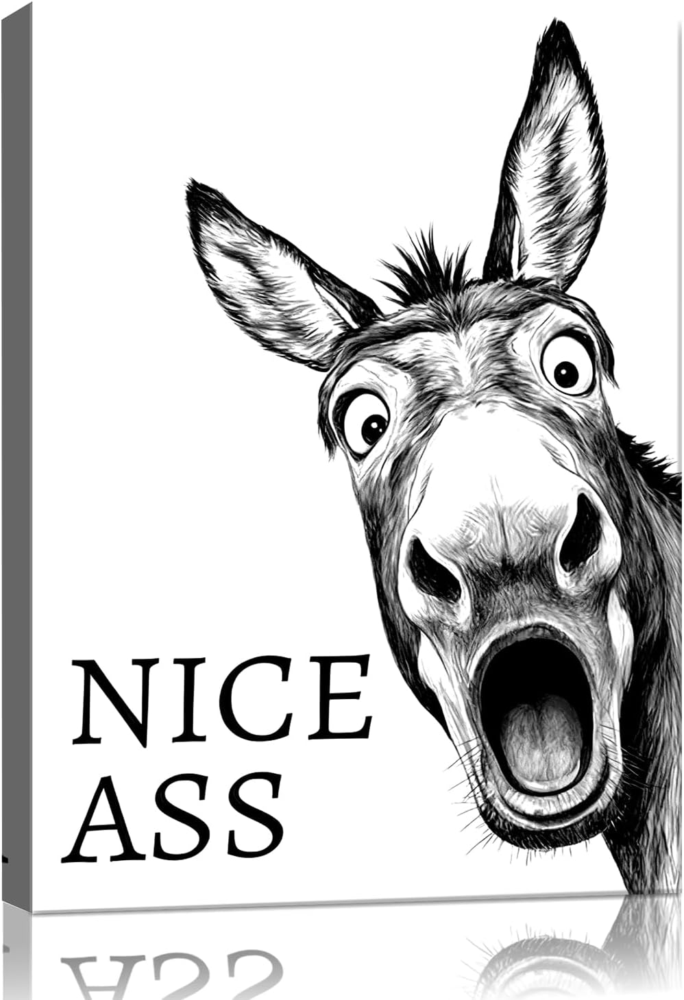 Black and White Bathroom Wall Art Decor Nice Ass,Donkey in Bathroom Canvas Posters,Interest Waterproof Animals Canvas Wall Decor,Vintage Farmhouse Home Humor Print Paint for Restroom (20x24, Framed)