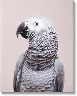 Stupell Industries African Grey Parrot Portrait Canvas Wall Art Design by Sisi and Seb