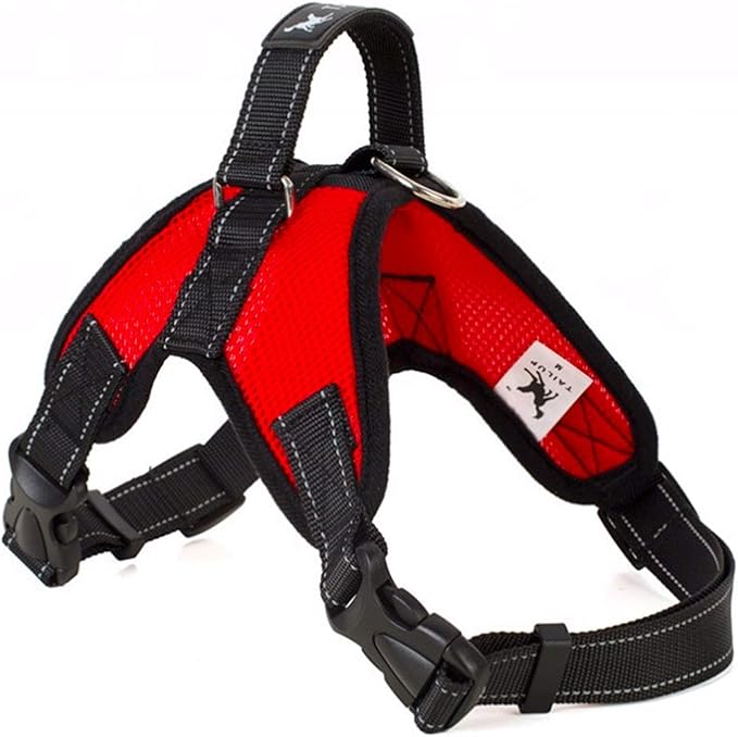 tail up harness