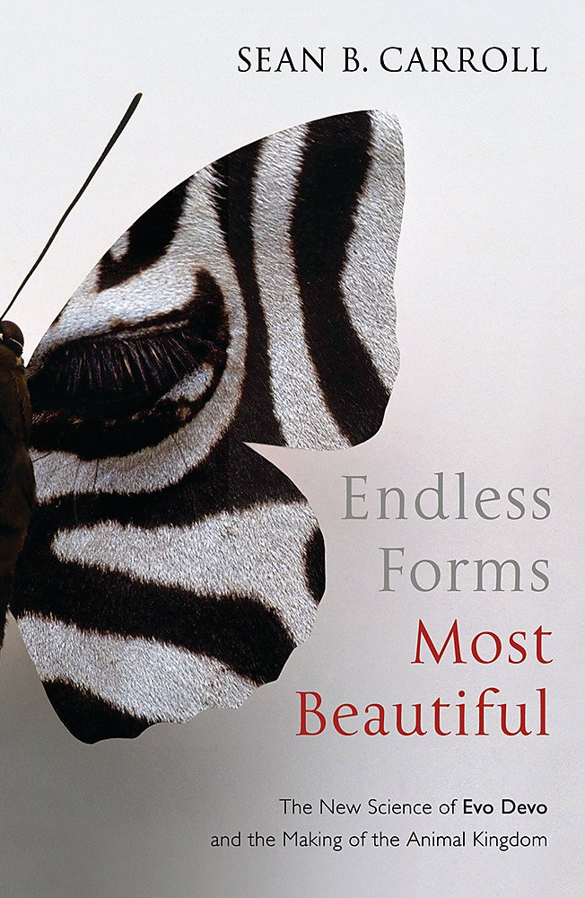 Buy Endless Forms Most Beautiful: The New Science of Evo Devo and the Making of the Animal Kingdom — BookShops.in