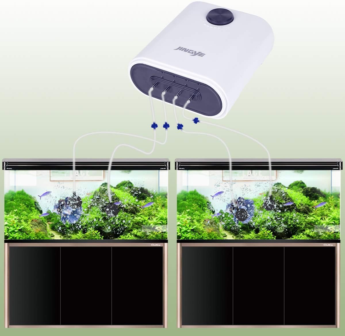 PERSUPER Aquarium Air Pump Quiet High Output Oxygen Pump Air Aerator Oxygen Pump for Fish Tank 20-600 Gallon, 4 Air Valves, 110V with Stones/Tubes,Check Valves. : Pet Supplies