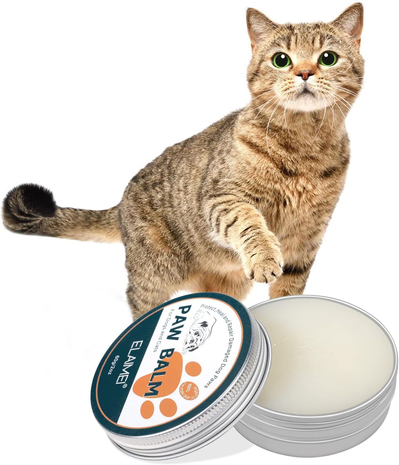 View 5