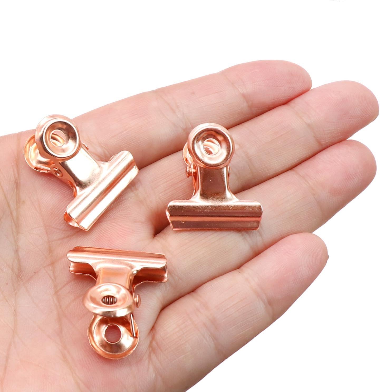 ESFUN 30 Pack Small Bulldog Clips Hinge Clip 1 Inch Metal