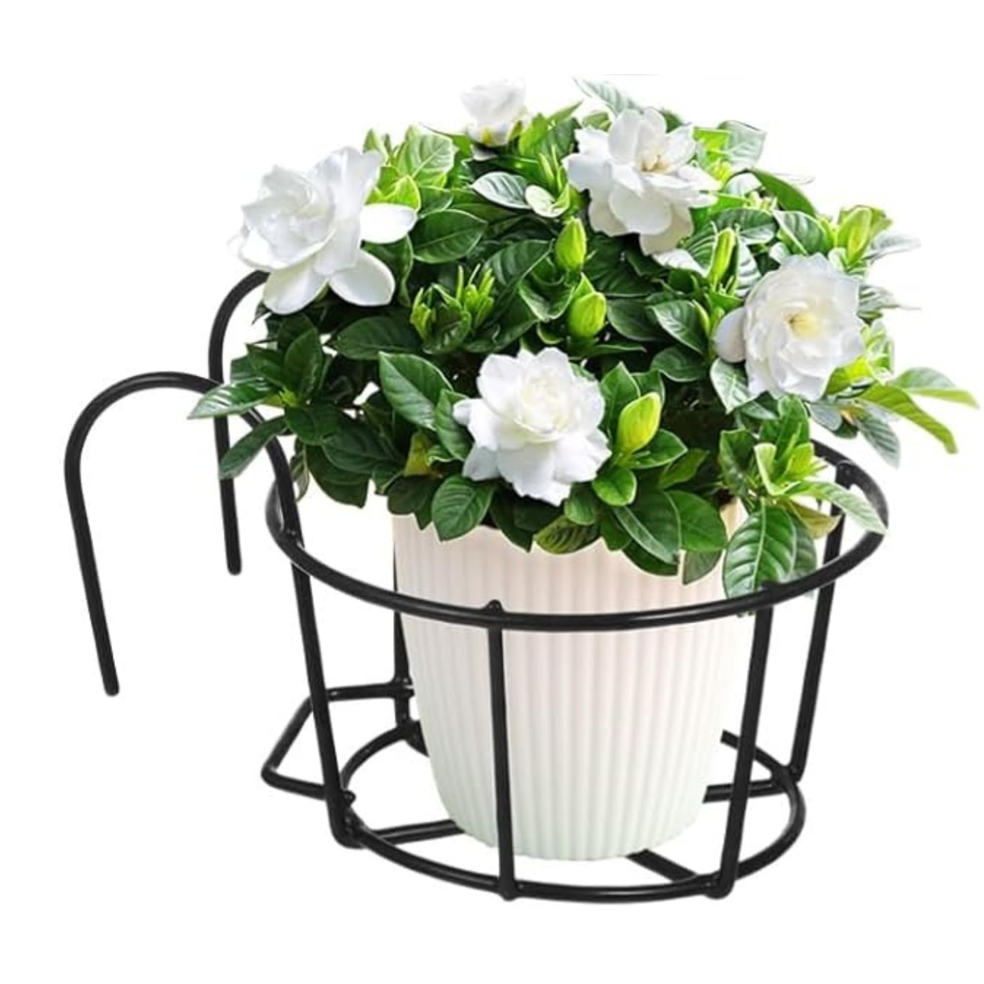 Worthy Shoppee Round Metal Hanging Flower Pot Stand for Railing Planter Pot Holder | Indoor Garden Gamla Stand | Plant Stand for Balcony (Pack of 1)