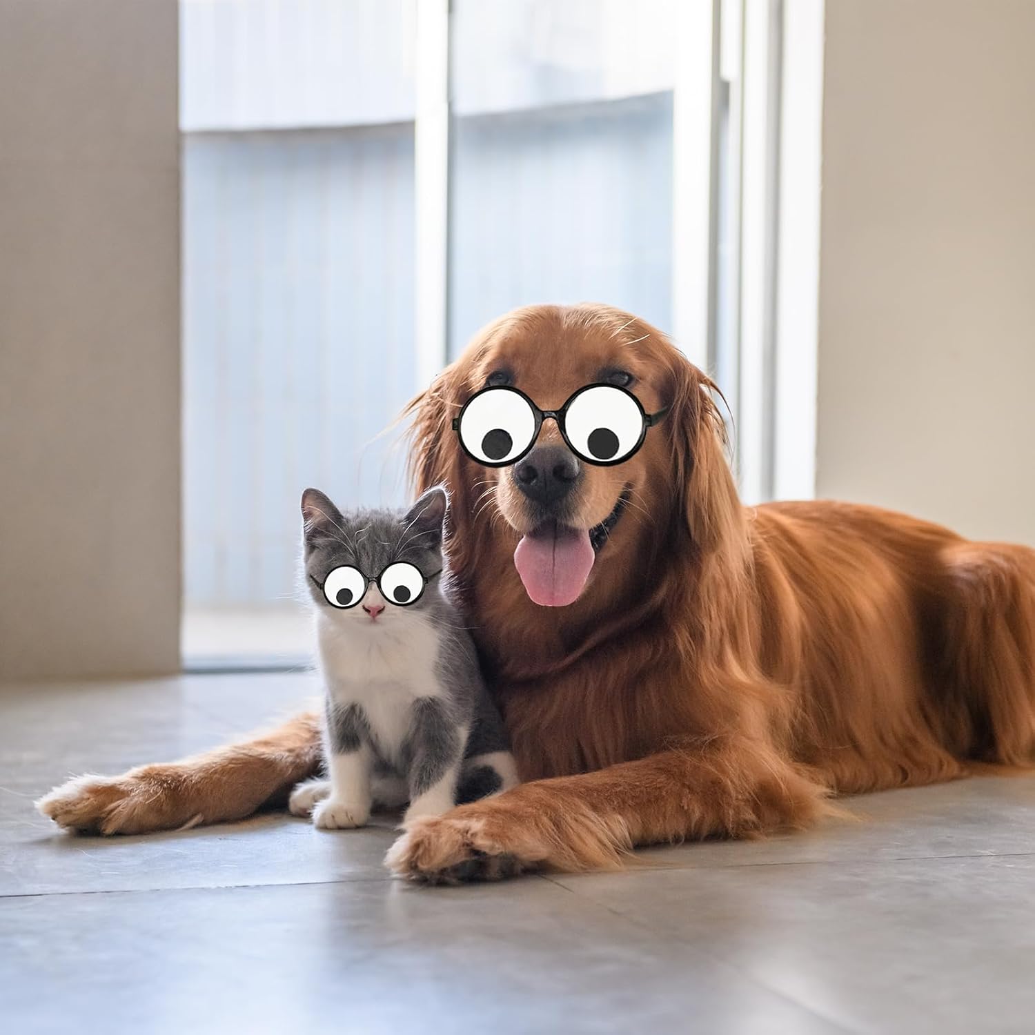 10Pcs Googly Eyes Glasses,Funny Glasses Shaking Eyeball Glasses,Halloween Party Funny Costume Accessories