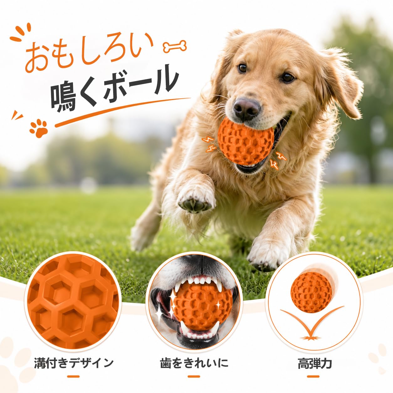 Amazon | AUSCAT 犬用ボール 音が鳴る 天然ゴム サッカー型 噛む