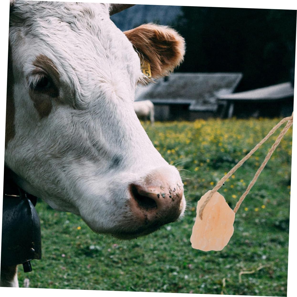 20pcs Salt Blocks for Livestock Mineral Enrichment Cattle Goats and Deer Supports Health and Vitality Easy to Handle and Distribute