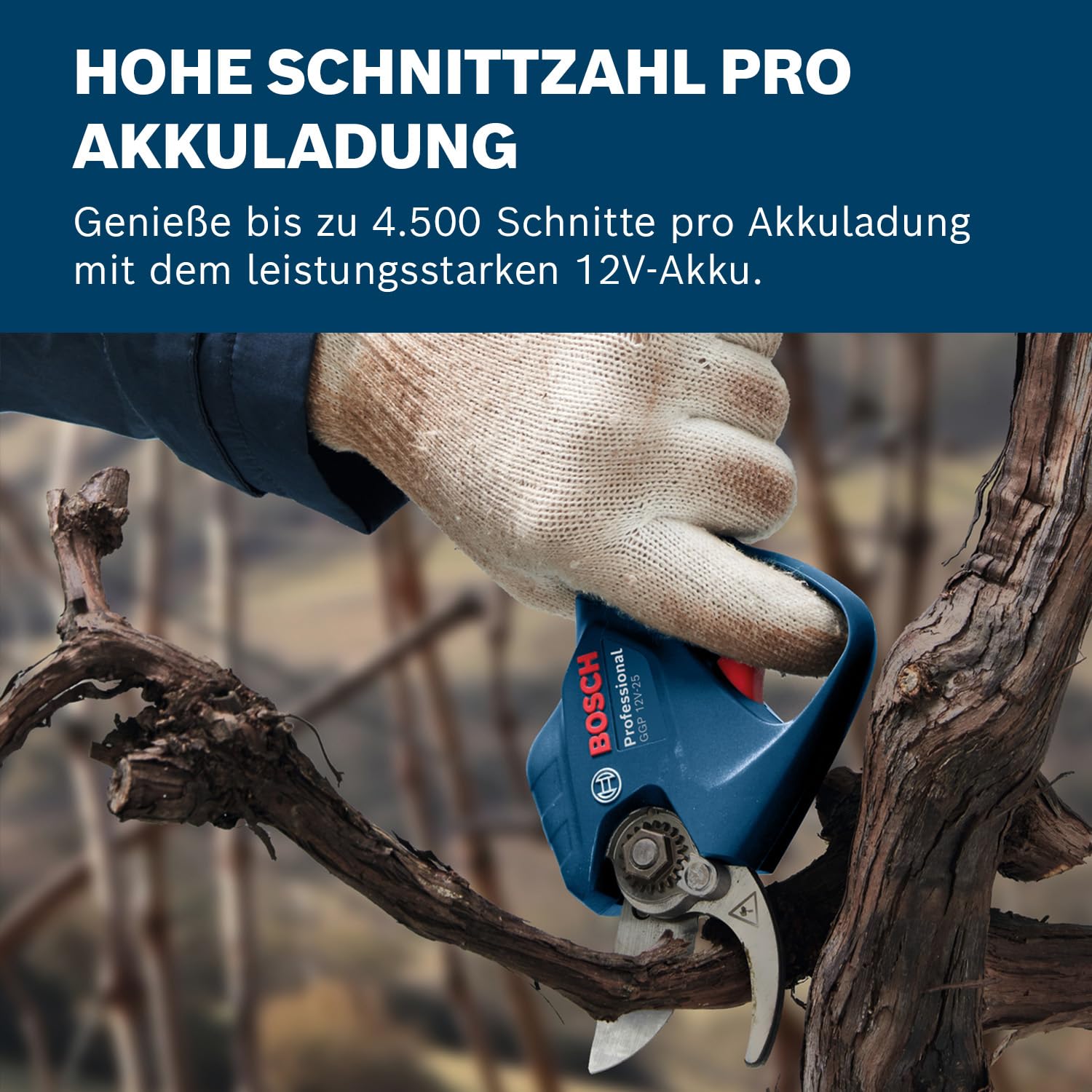 Bosch Professional 12V System Astschere GGP 12V-25 (bis zu 4.500 Schnitte pro Akkuladung, bürstenloser Motor, 25-mm-Schnitte)
