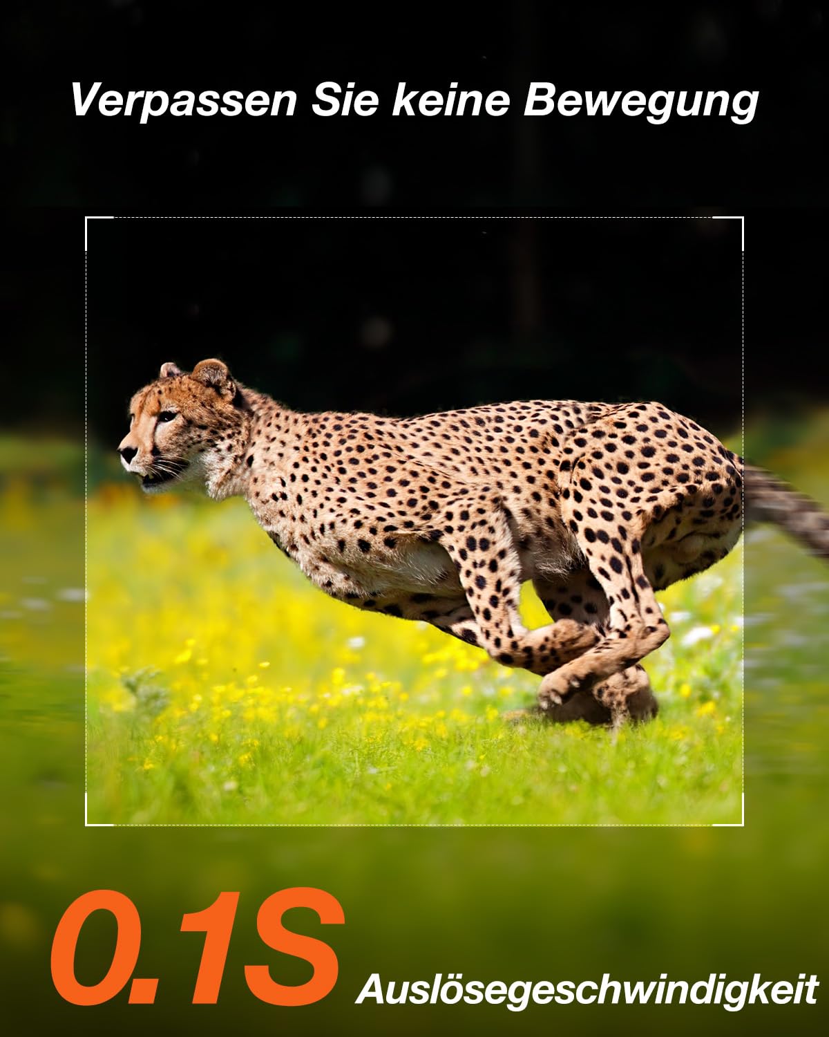 iZEEKER Solar Wildkamera 4K 64MP mit Handyübertragung App, WLAN & Bluetooth Wildtierkamera mit Bewegungsmelder Nachtsicht, Solar Tierkamera mit 5200mAh Akku, IP66, 0.3s Auslösezeit
