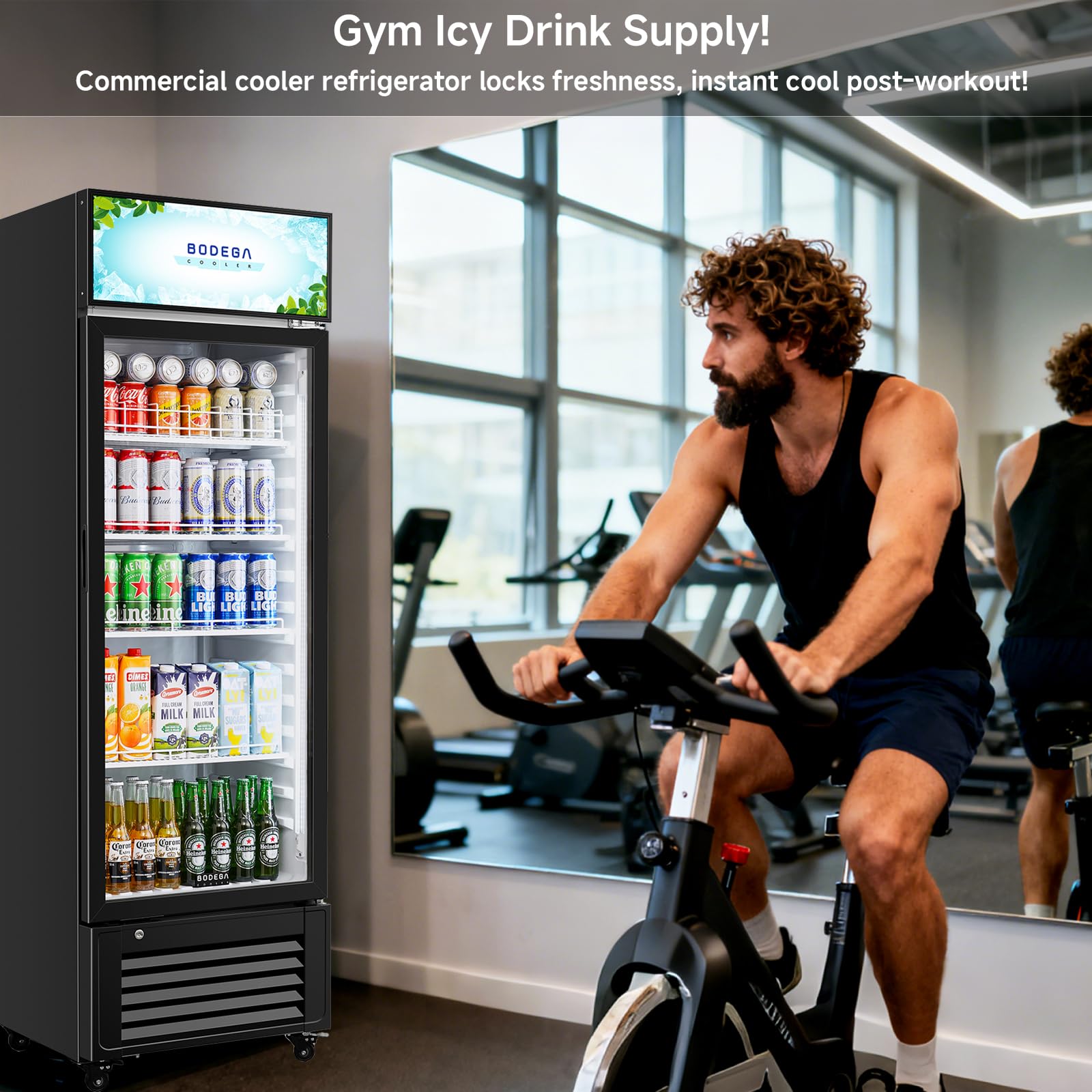 Bodegacooler Beverage Refrigerator, 321l/339 Qt Commercial Refrigerator For Kitchen, Home,Office And Garage, 300 Cans & 160 Bottles Display Refrigerator For Beer,Soda, Bar Cooler With Soft LED Light. on Fridge.com - View 3