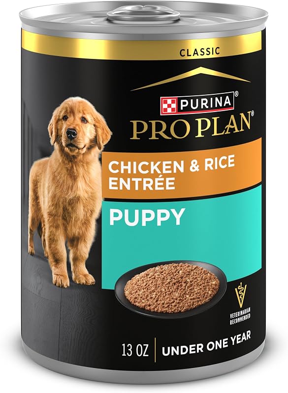 Ração úmida para filhotes Purina Pro Plan Patê de Frango e Arroz, Pacote com 12 latas de 368 g