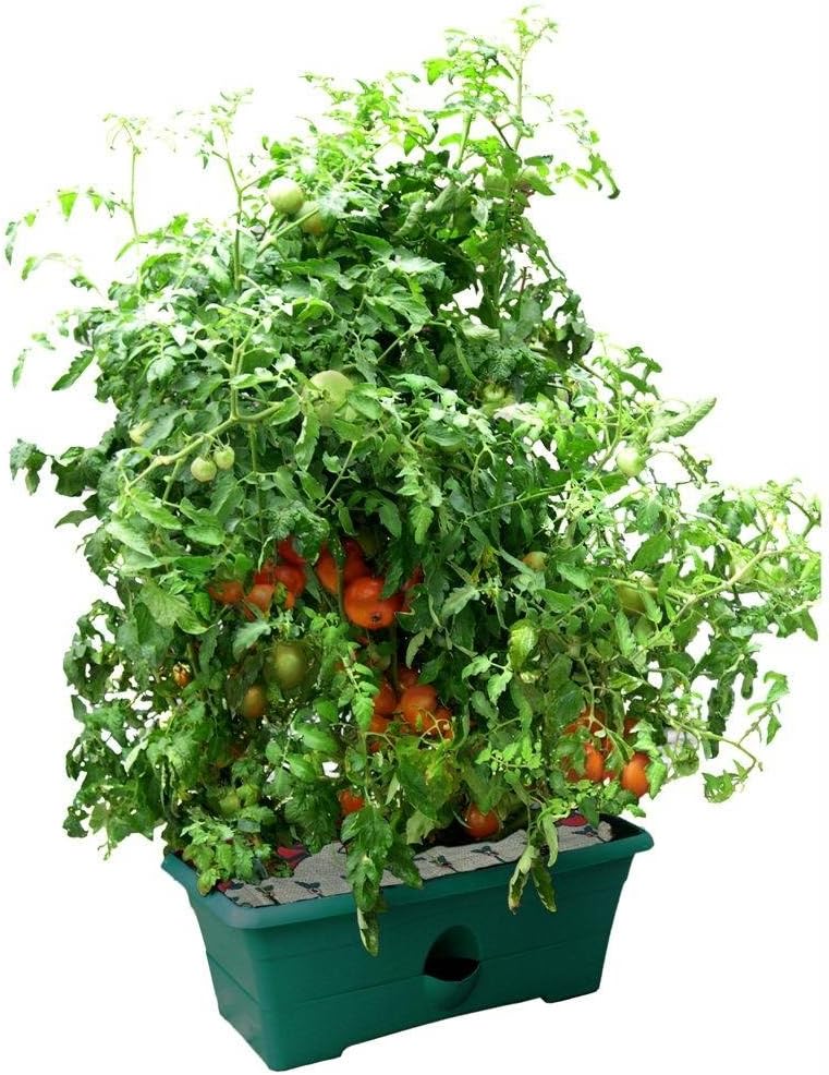 Garden Patch GP01GR-06 Grow Box