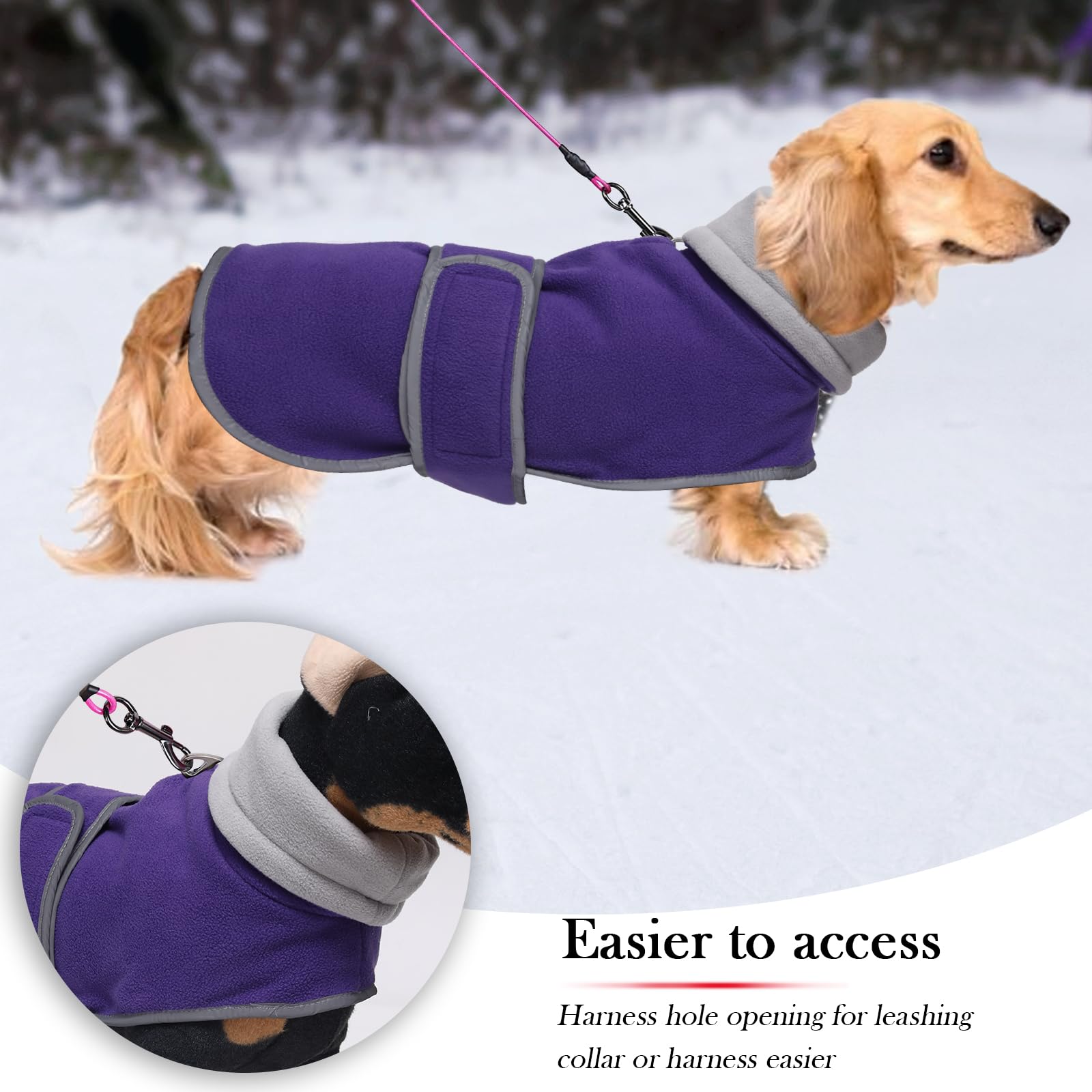 Geyecete dachshund coat with Warm Thermal Quilted - Image 3