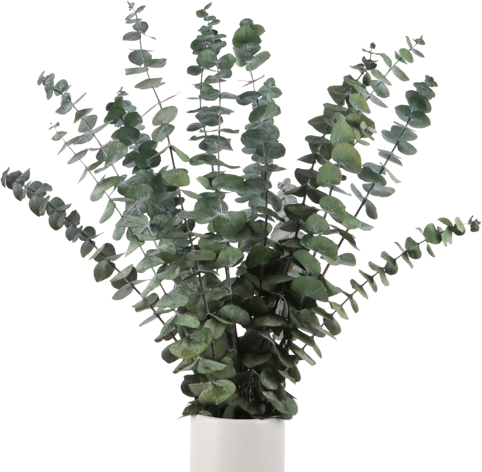 Beferr Dried Eucalyptus Stems Real 10PCS 17'' Fresh Eucalyptus Branches Live Eucalyptus Bundle Plant Preserved Greenery for Vase Filler Home Decor