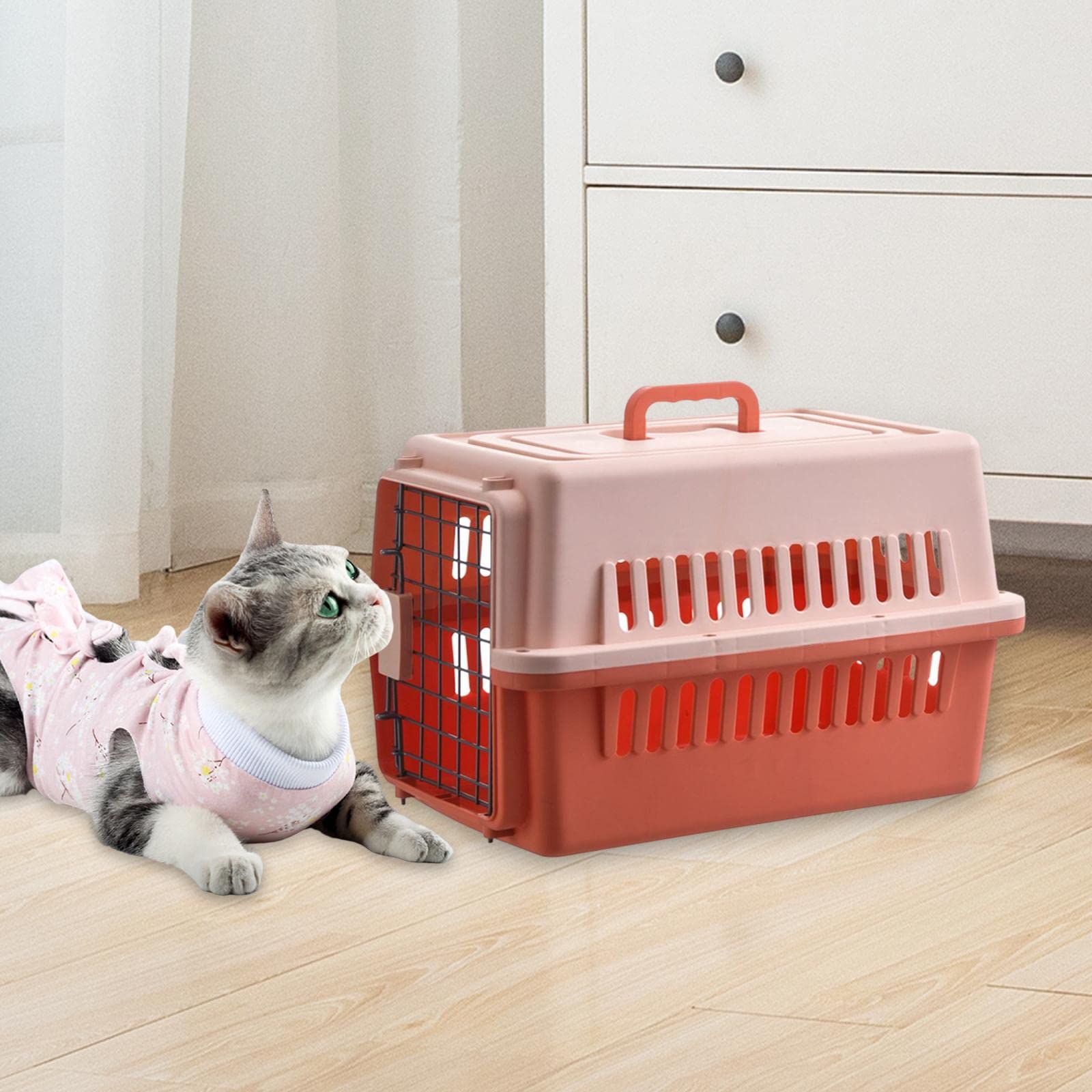 Tragbarer Hunde Reise Organizer, Tragetasche, Tiertragetasche, Kiste, Hartseiten Haustiertragetasche für Katzen, Kleine, Mittelgroße Hun, Orange