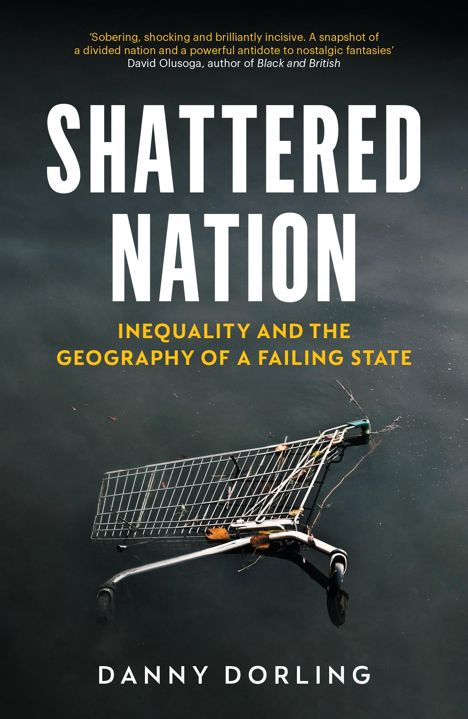Shattered Nation: Inequality and the Geography of A Failing State