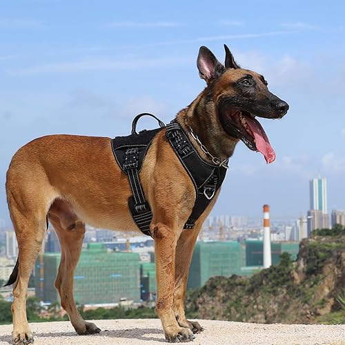 Miniatura 20 de ICEFANG GN8 Tactical Dog Harness with 4X Metal Buckles for Medium Sized Dogs,Reflective in Training Walking K9 Vest,No-Pull Front Leash Orange