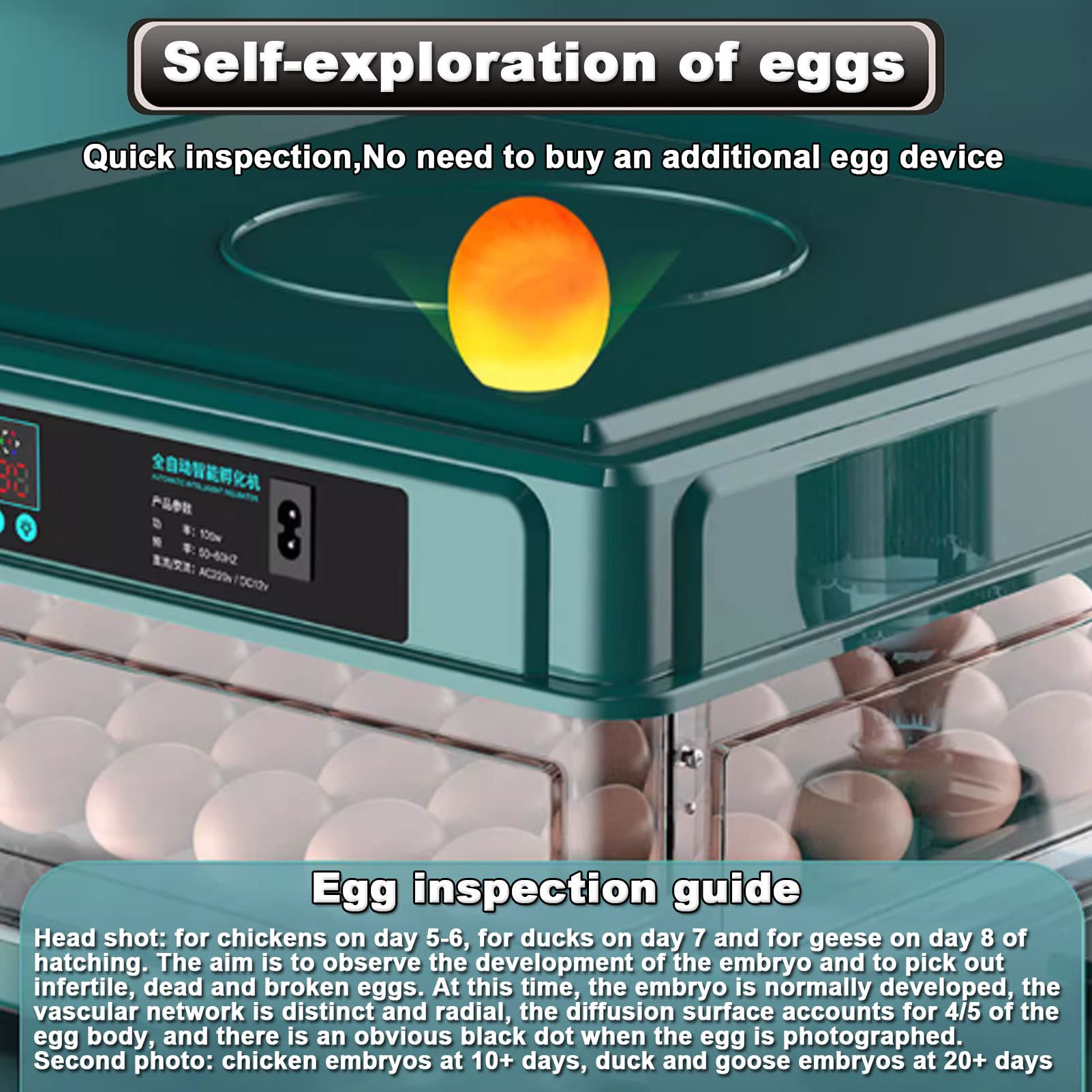 Incubadora de Huevos 48/56/64/98/120/128 Totalmente automática para Pollitos con volteador automático y adición de Agua. Ideal para incubar Huevos de gallina, Pato, Ganso y Paloma.