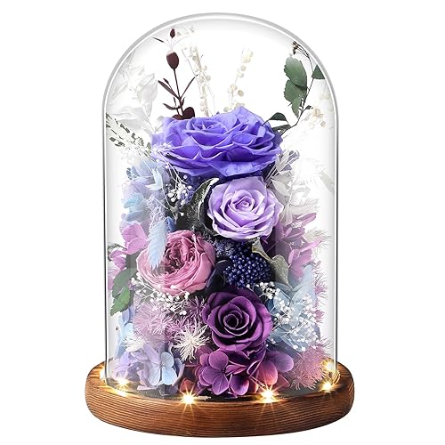 Eternal Rose Lilac Purple Flower Preserved Long Lasting Stable Color