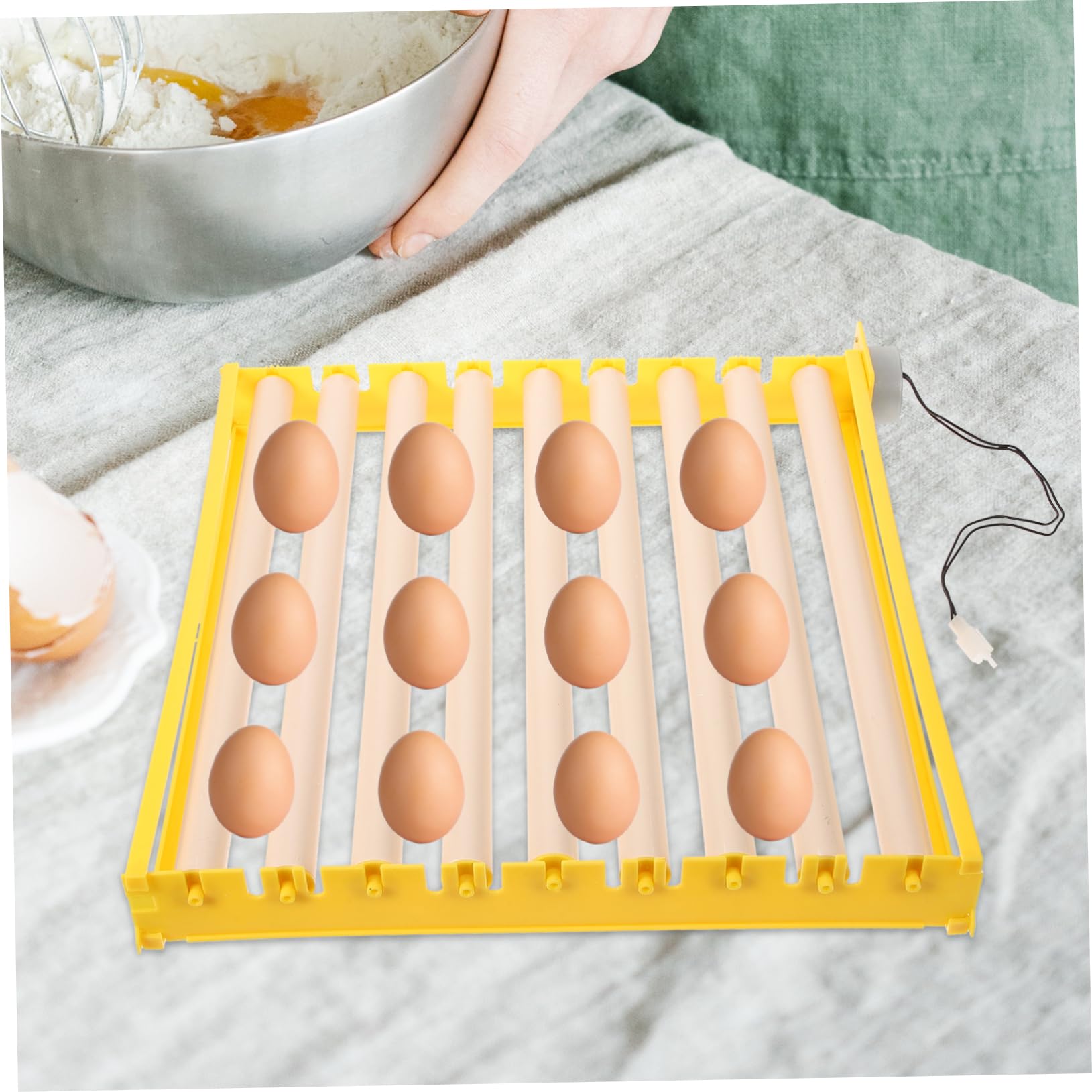 Incubatrice Automatica Per Uova Di Gallina e Vassoio Rotante Automatico Da 56 Uova Accessorio Per Incubazione Domestica Materiale Resistente All'usura