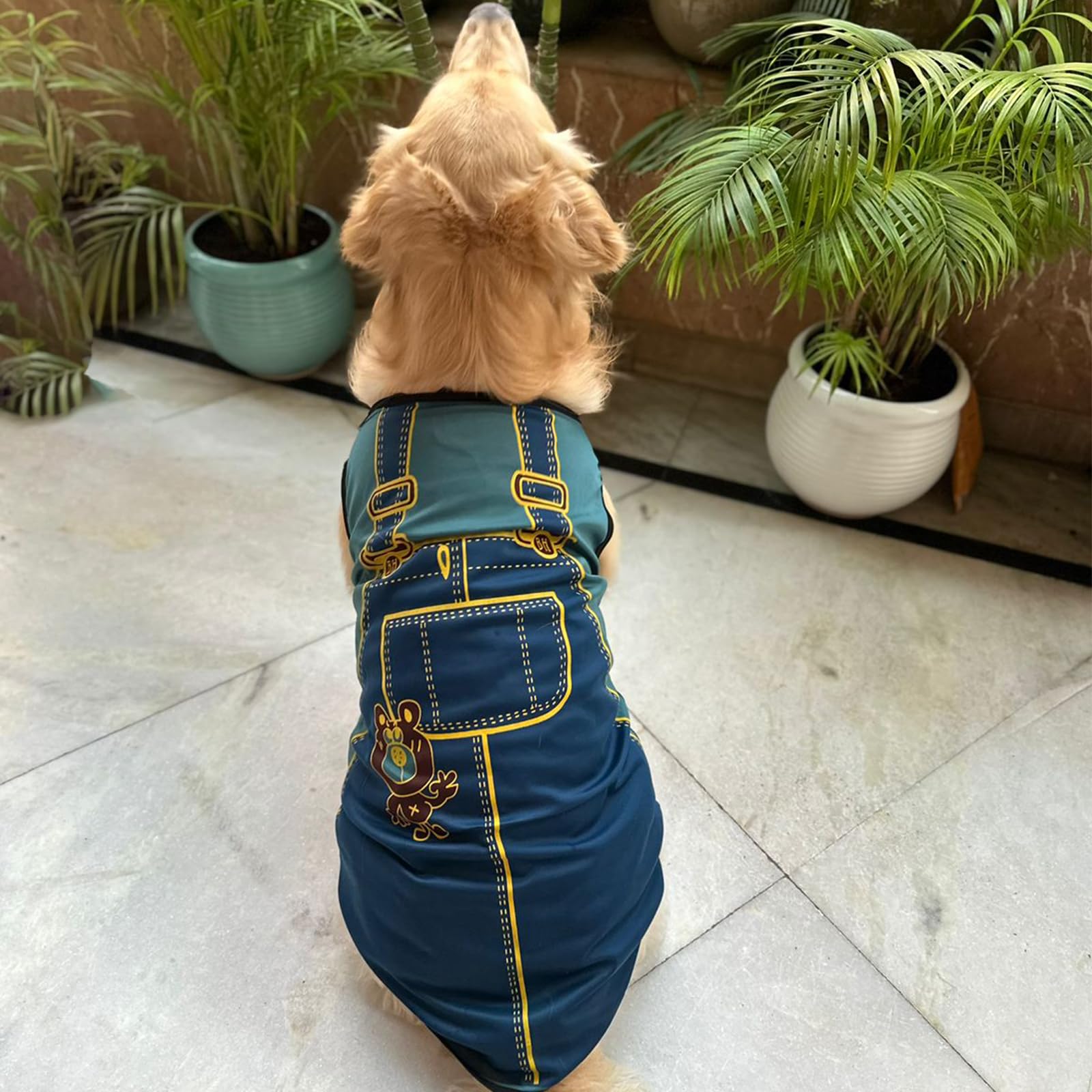 See full amazon price history chart for Lulala Dog Printed T-Shirts Clothes Vest Puppy Costumes Cool Puppy T-Shirts Breathable Dog Outfit Soft Clothes for Dog and Cat (Blue, 22 Inch) Lulala Dog Printed T-Shirts Clothes Vest Puppy Costumes Cool Puppy T-Shirts Breathable Dog Outfit Soft Clothes for Dog and Cat (Blue, 22 Inch) (B0C96VFHZX) Amazon Price History, Amazon Price Tracker