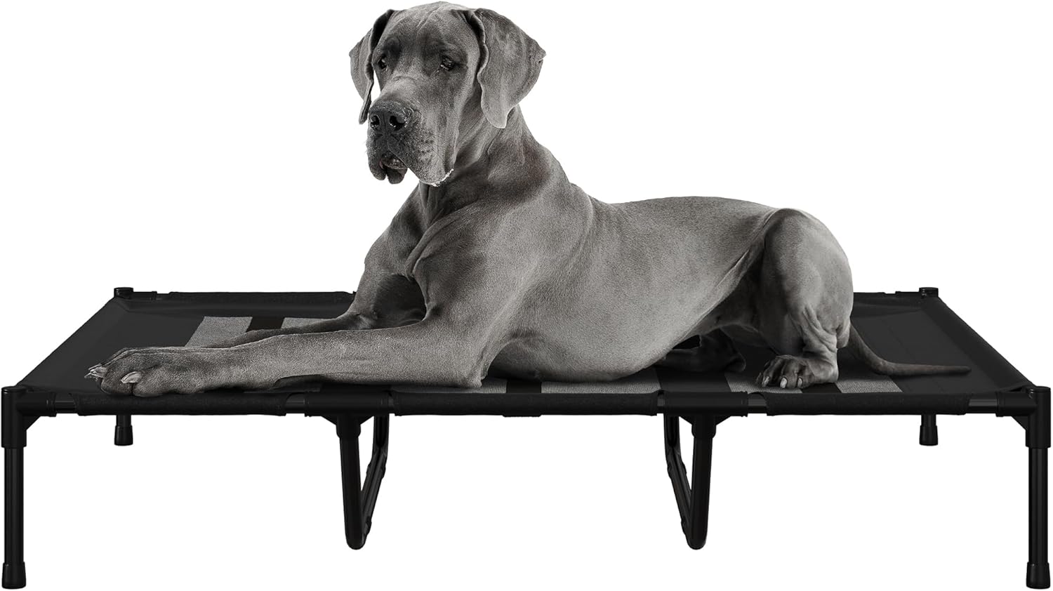 PETMAKER Elevated Dog Bed 48x36-Inch Outdoor Indoor Pet Cot