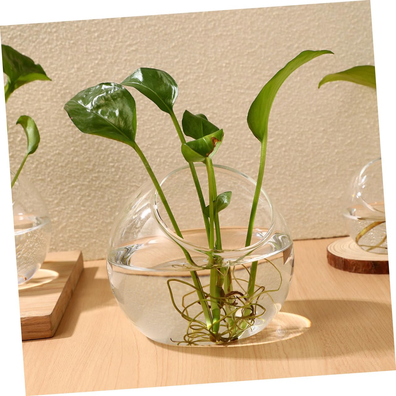 Lurrose Set da 3 Terrari in Vetro Trasparente 10-13,5 Cm per Piante Succulente da Tavolo, Bottiglie Ecologiche per Micro Paesaggi Fai da Te, Fioriere Compatte per Decorazioni Casa,
