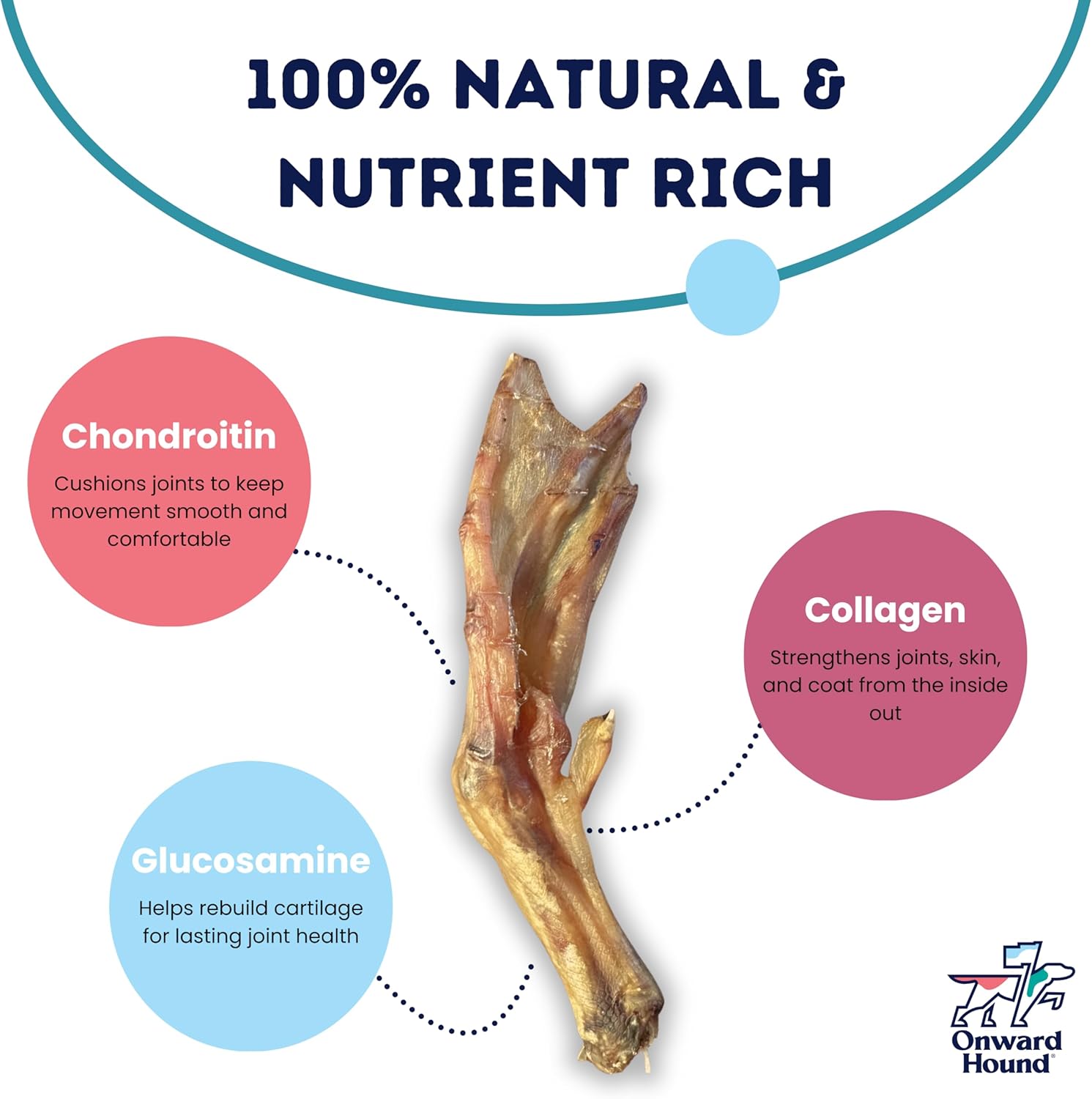 Onward Hound Whole Duck Feet for Dogs - Dehydrated Duck Dog Treats - USA-Packaged Dental Treats for Dogs - Collagen, Glucosamine, Chondroitin for Hip and Joint Health - 12 Count
