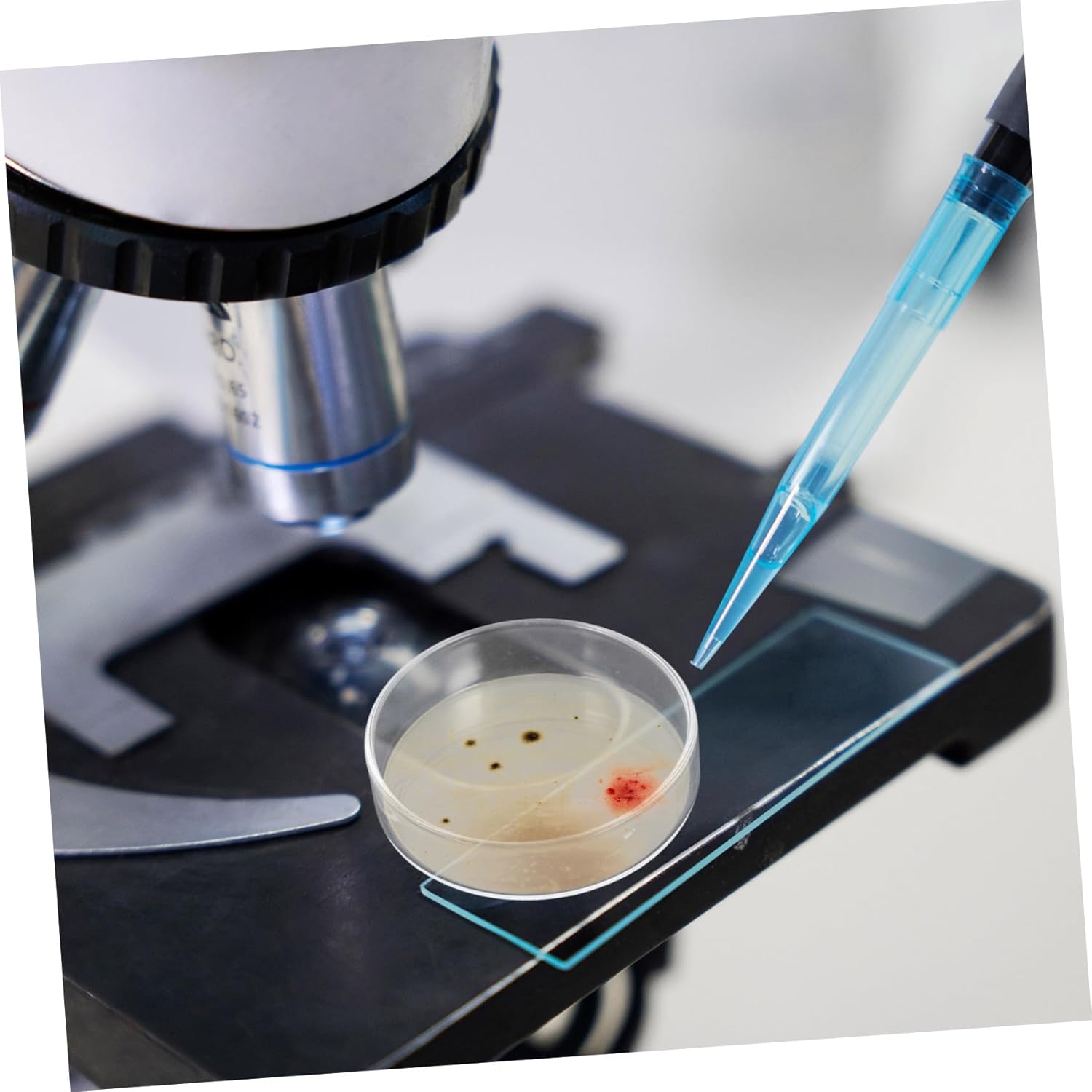 IMIKEYA 10pcs 90mm Glass Petri Dishes with Lid Pre-Poured Nutrient Agar Plates for Cell and Tissue Culture for Laboratory Experiments and Educational Science Projects