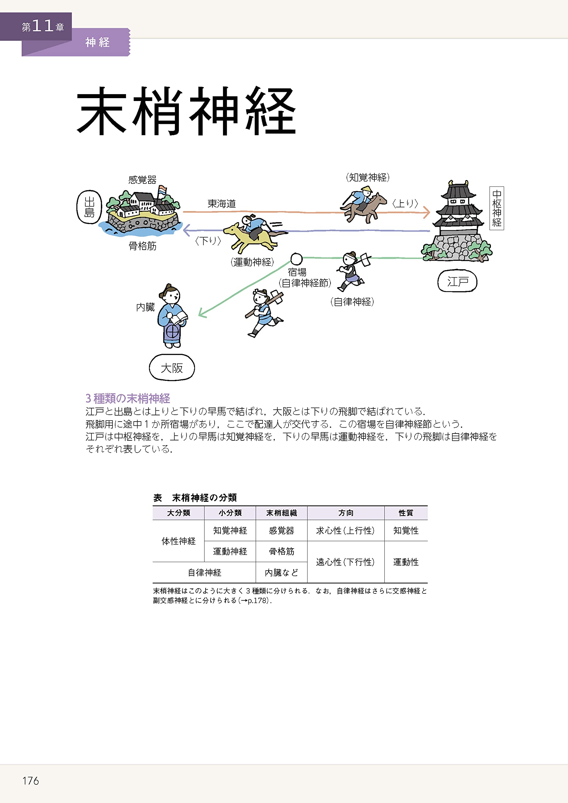 新品即決 イラストでまなぶ生理学 第3版 その他