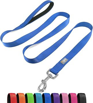 6 FT Reflective Dog Leash for Large Dogs,Blue