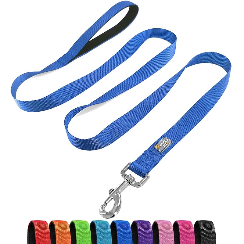 Guia refletiva para cães penseepet em nylon com alça acolchoada, Blue, Small, 1,59 cm x 1,83 m