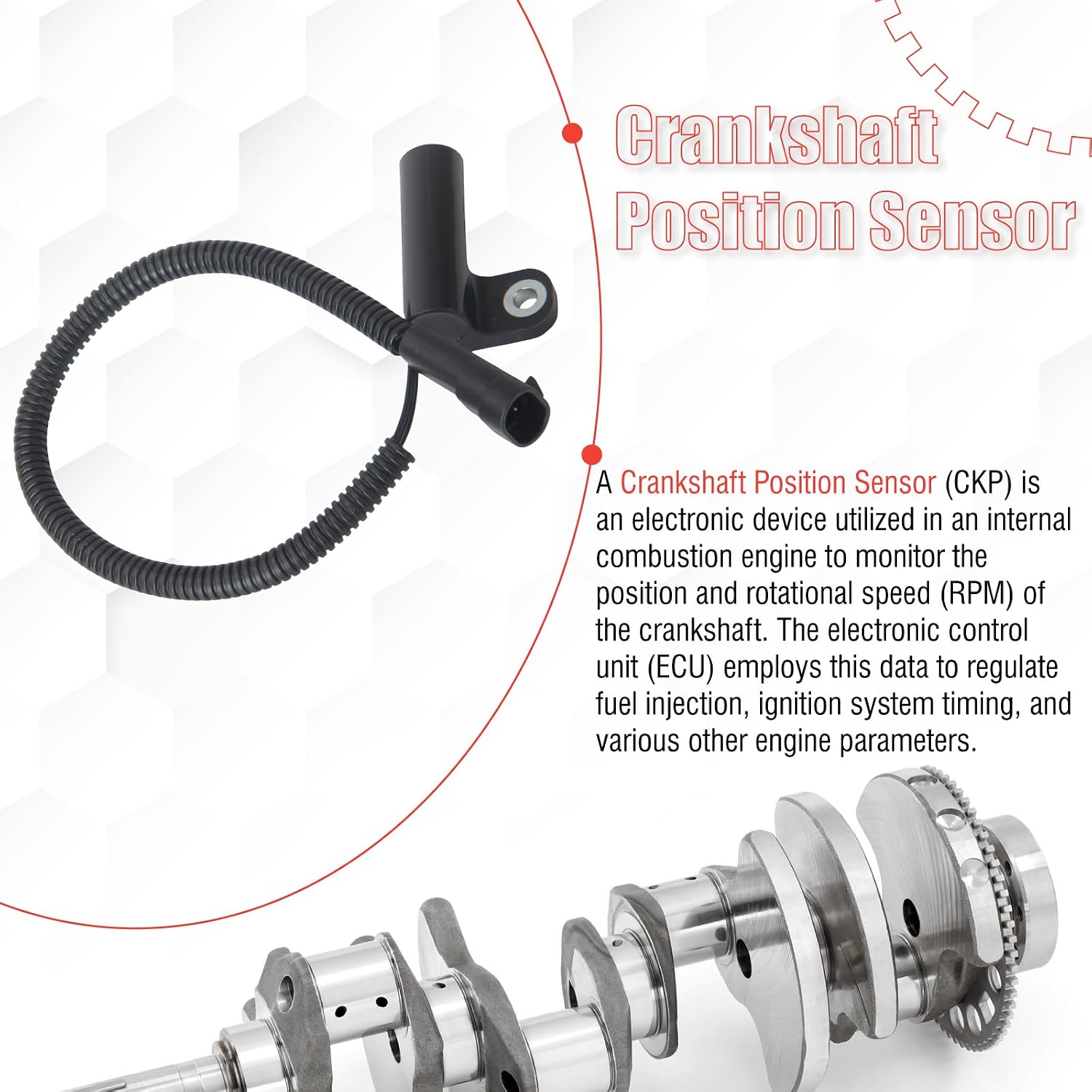 56027280 Crankshaft Position Sensor Compatible with Wrangler 1993-1995 Grand Cherokee 1993-1996 4.0L L6