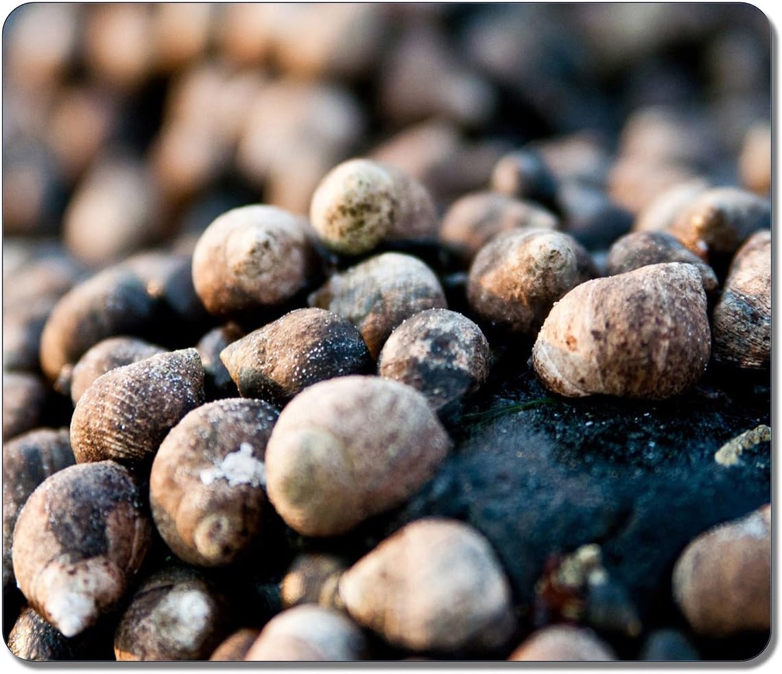 Professional Mouse Pad Kingdom Of Snails Natural Eco Rubber