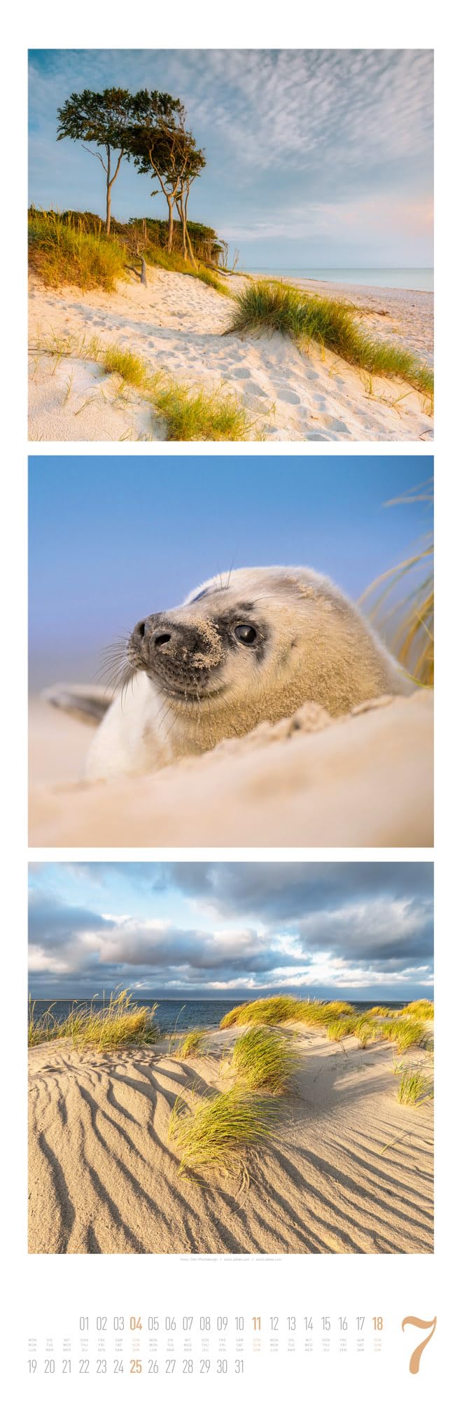 Nature Triplet-Kalender 2027 | Stilvoller Natur-Kalender im schlanken Hochformat (33x100 cm) | Triplet-Fotografie im Premium-Format