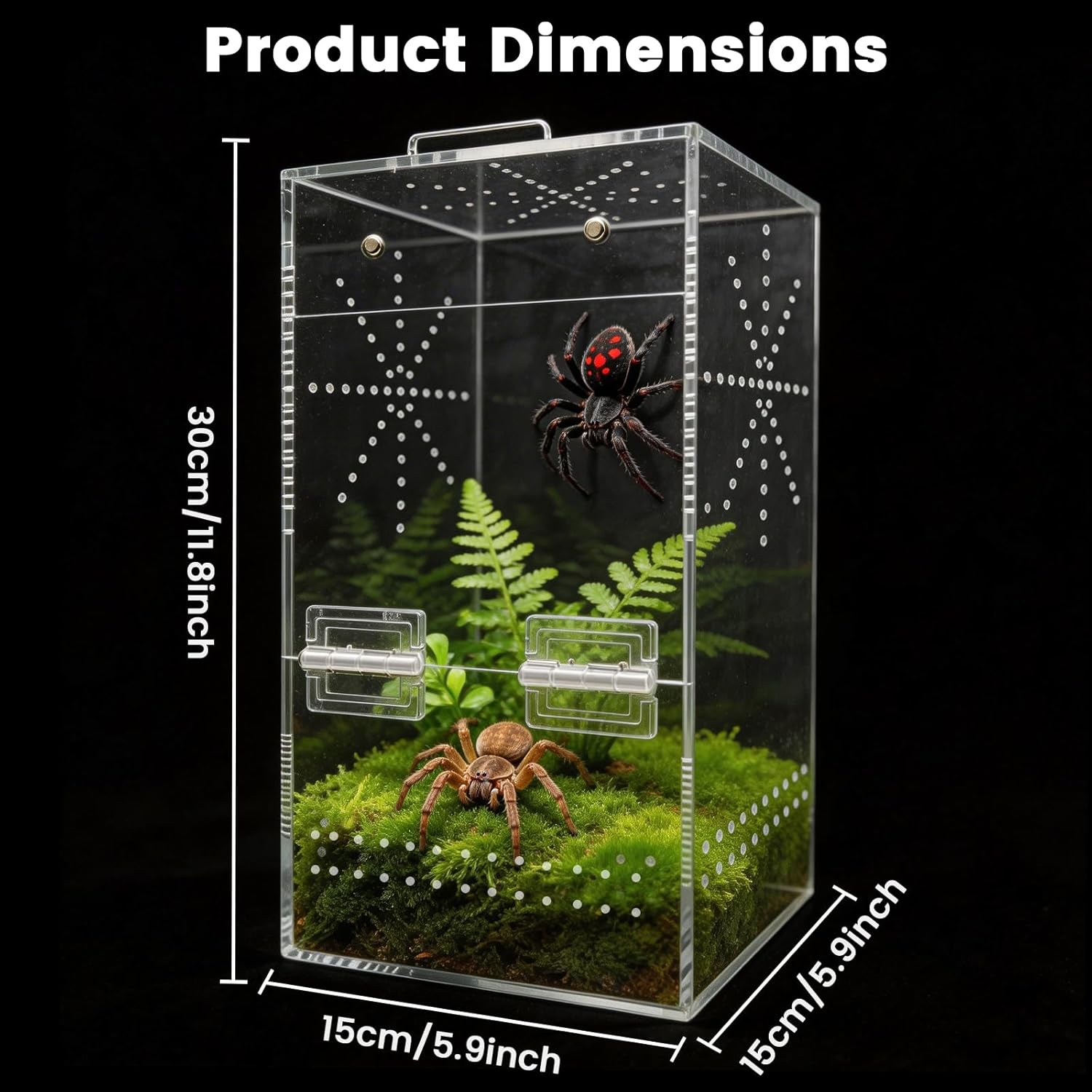 Jumping Spider Enclosure, 6"×6"×11.8" Escape Proof Transparent Acrylic Enclosure, Magnetic Door Acrylic Tarantula Terrarium with Feeding Port, Praying Mantis Terrariums, Arboreal Tarantula Cribs