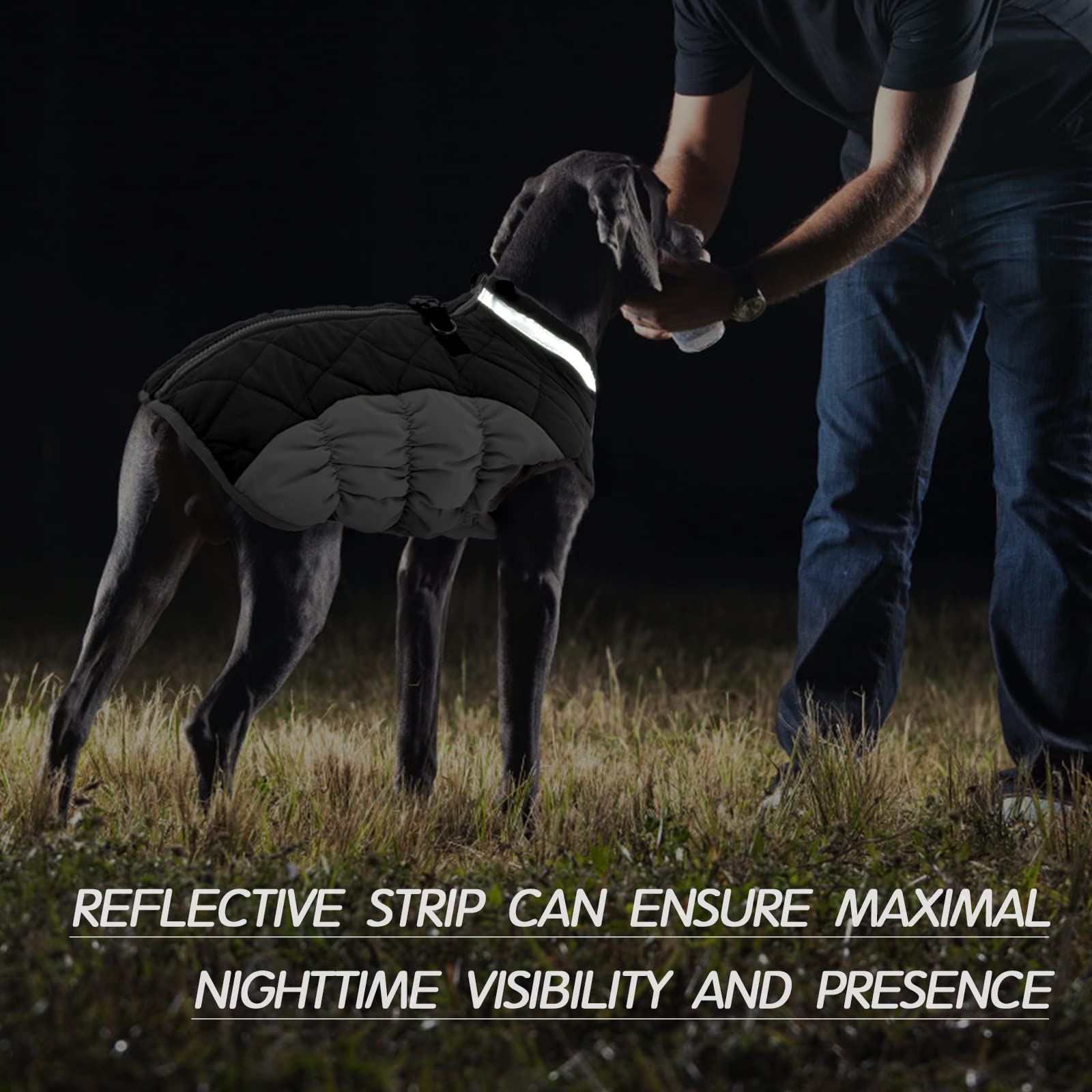 Ifundom Winter Hundemantel S Grün - Gepolsterte Hundejacke Mit Kapuze Für Kleine Hunde