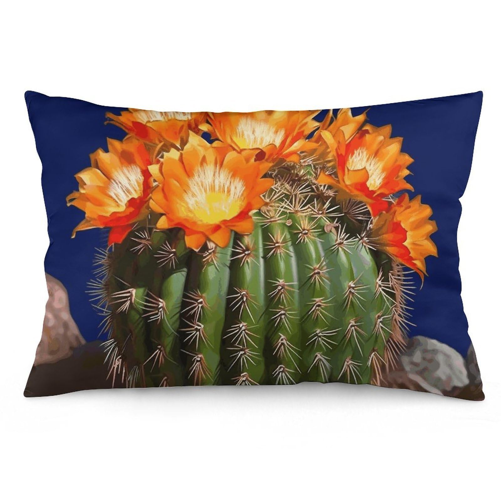 2 Pack Pillow Cases for Hair and Skin, Soft Breathable Pillow Case Covers with Hidden Zipper, Blooming Barrel Cactus Pillowcase 16 "x24 Pillow Covers for Sleeping Gift