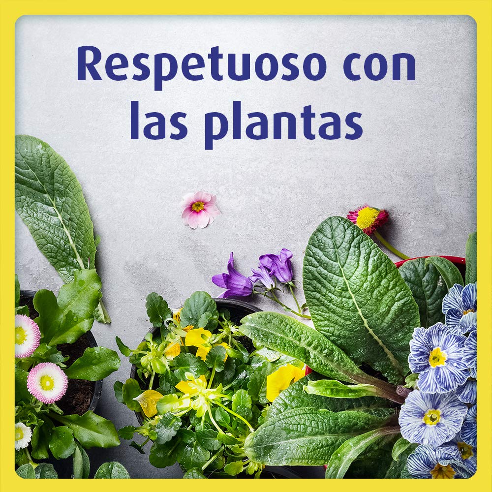 Bloom Hogar Aerosol contra moscas y mosquitos, 600ml, Pack de 6, Verde