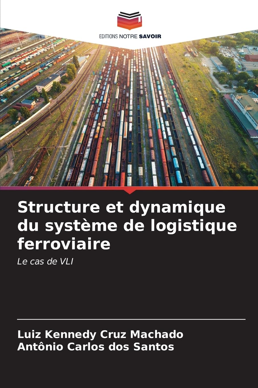 Structure et dynamique du système de logistique ferroviaire: Le cas de VLI