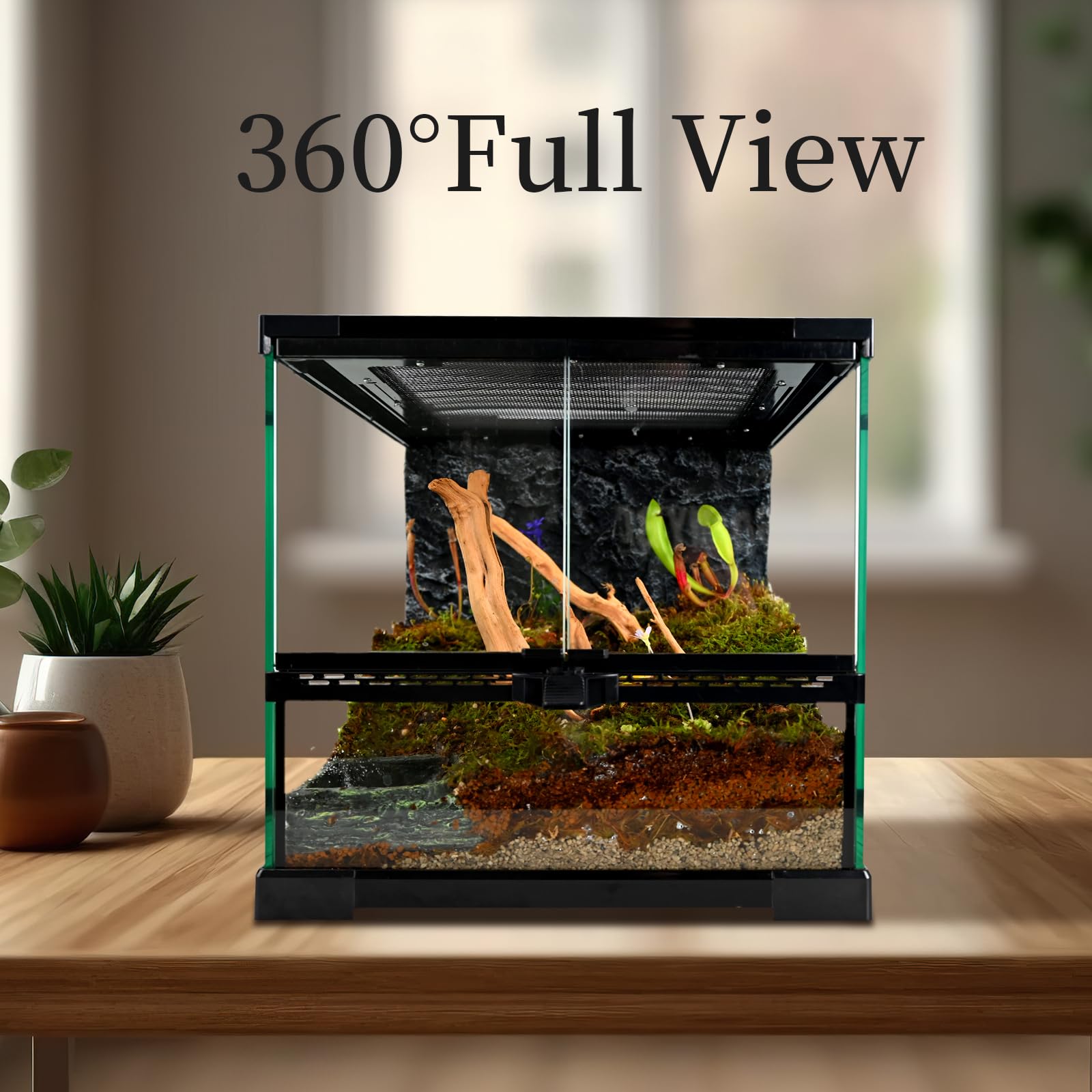Tanque de vidrio para reptiles de 12 x 12 x 12 pulgadas, hábitat de terrario con puerta de doble bisagra y ventilación de pantalla superior para dragón barbudo, lagarto, geco leopardo,