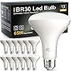TJOY 12 Pack BR30 Led Bulb 65W Equivalent, Dimmable LED Flood Light Indoor, E26 Base, 5000K Daylight, 9W, 800 LM, Recessed Lighting Bulbs for Ceiling, Recessed Can, Living Room and Kitchen
